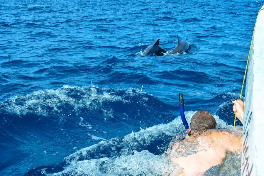 Lugares Que Debes De Visitar En Puerto Escondido