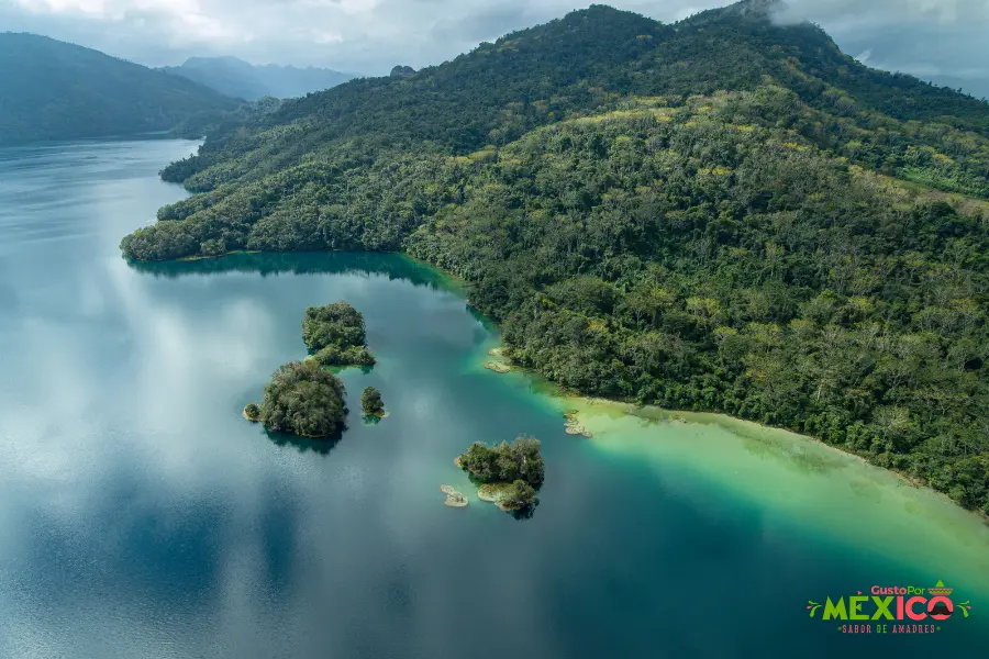 Embárcate en una Aventura en la Selva Lacandona Tesoro Natural de Chiapas