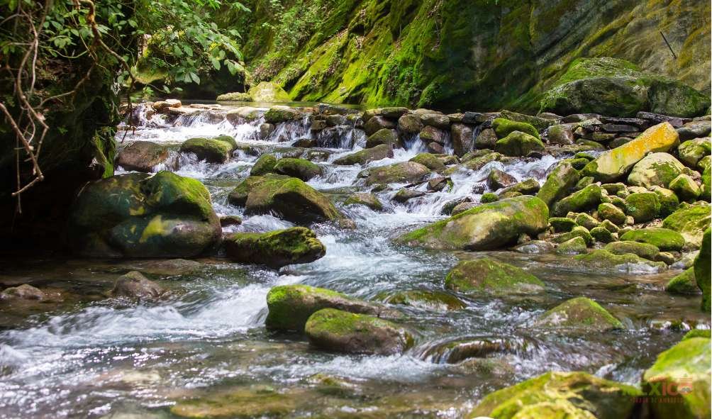 Sierra Gorda de Querétaro: ven y conoce el Río E