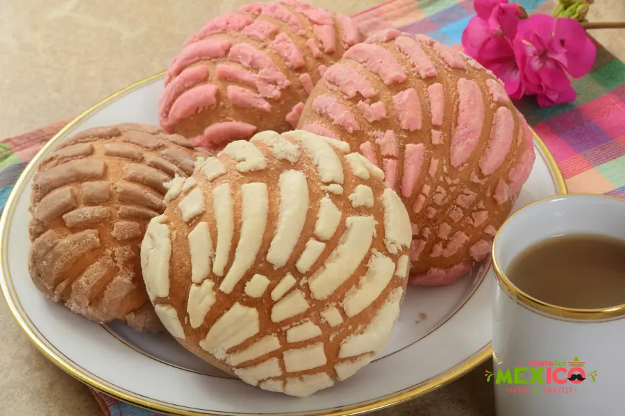 ▷Receta de las Conchas