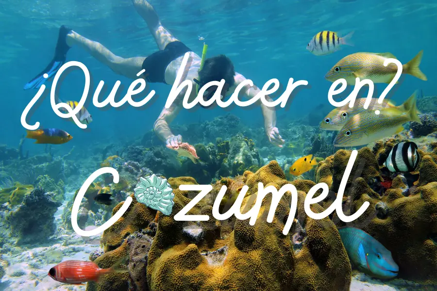▷10 Lugares que debes visitar en Cozumel