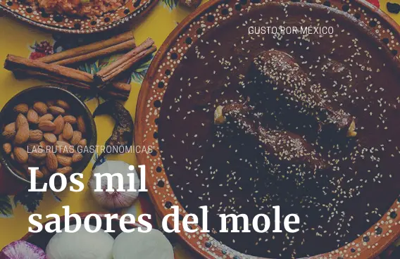 Las Rutas Gastronómicas: Los Mil Sabores del Mole, Oaxaca, Tlaxcala y Puebla