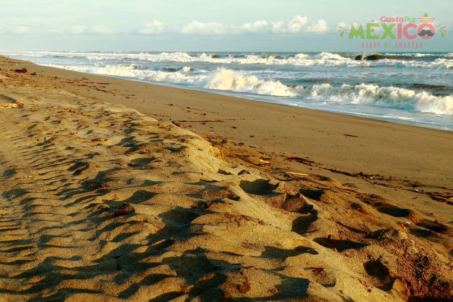 Las mejores playas de México para disfrutar en va
